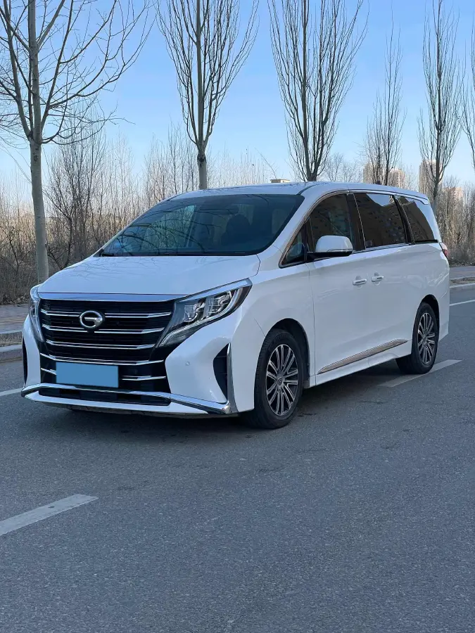 2021 GAC Trumpchi M8 2.0T 252HP L4 8AT