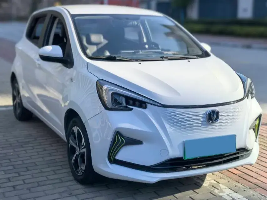 2020 CHANGAN BENBEN thumbnail 3