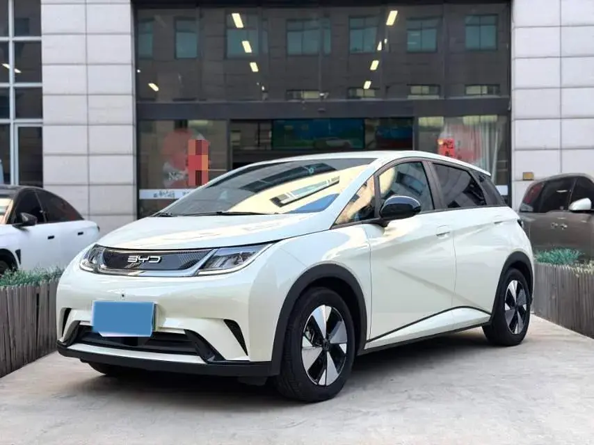 2023 BYD DOLPHIN view 1