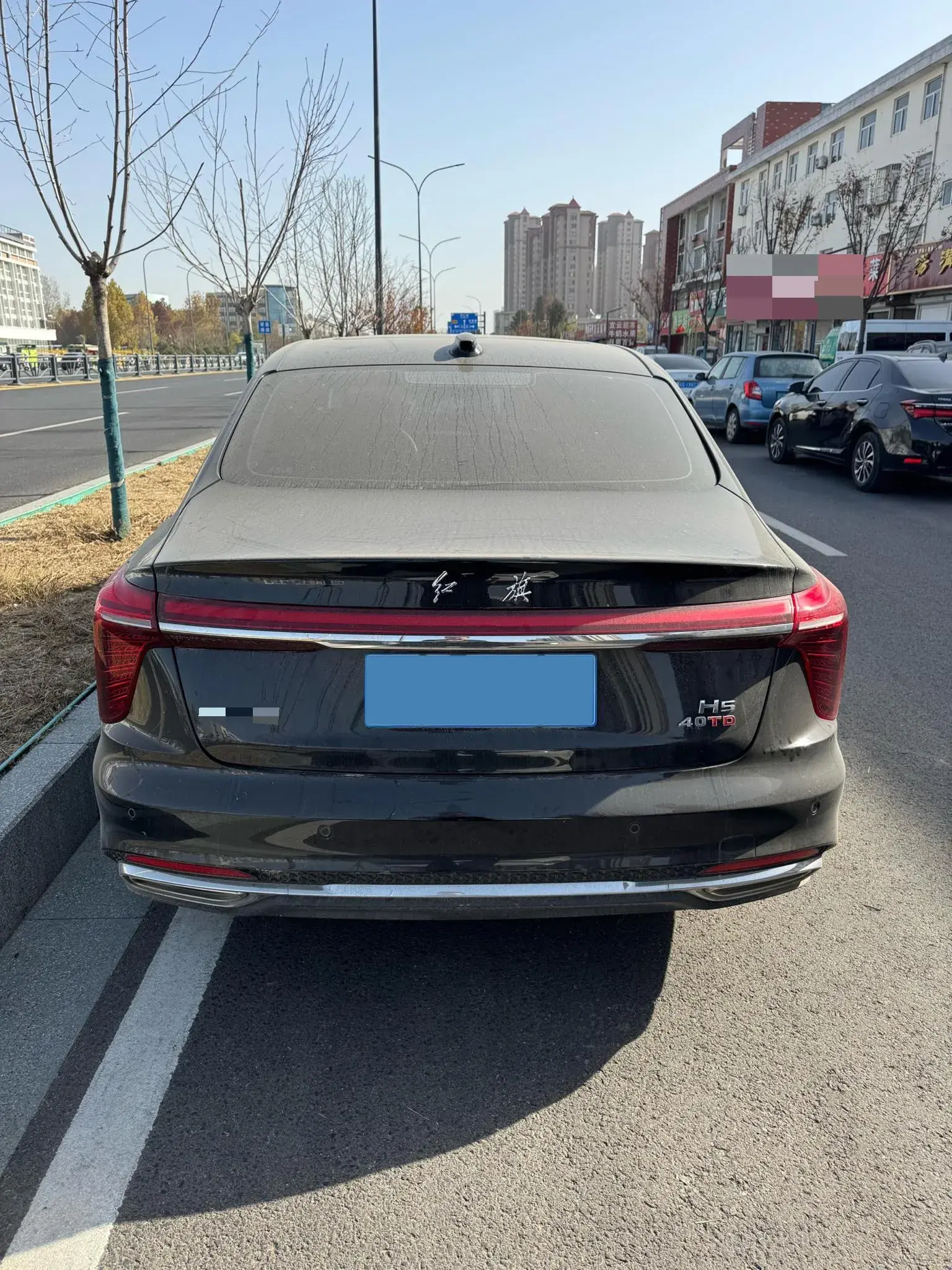 2024 HONGQI H5 thumbnail 4