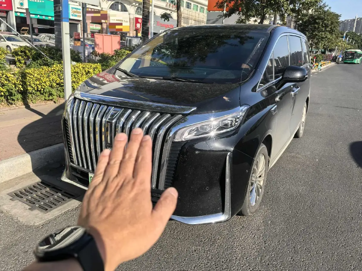2024 HongQi HQ9 2.0T 163HP L4 1DHT PHEV 20.14KWH