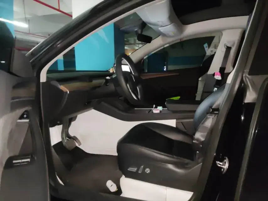 2021 TESLA MODEL thumbnail 3