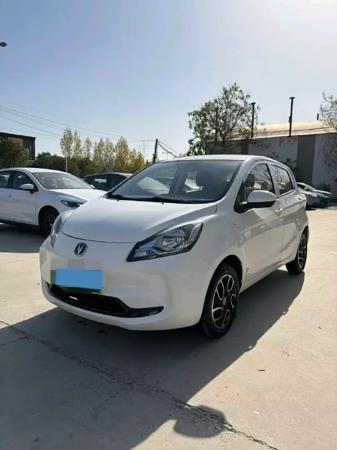 2021 ChangAn BenBen E-Star BEV 31.18KWH