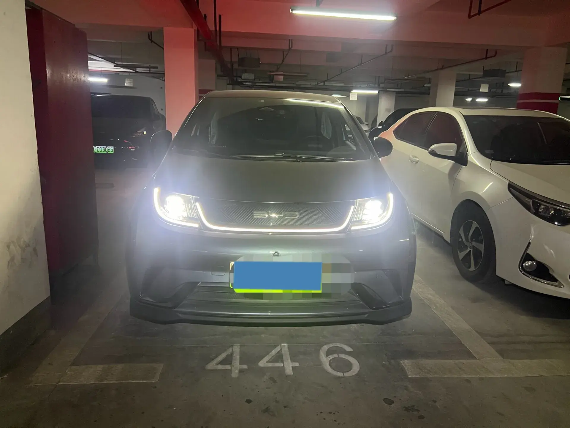 2023 BYD DOLPHIN thumbnail 2