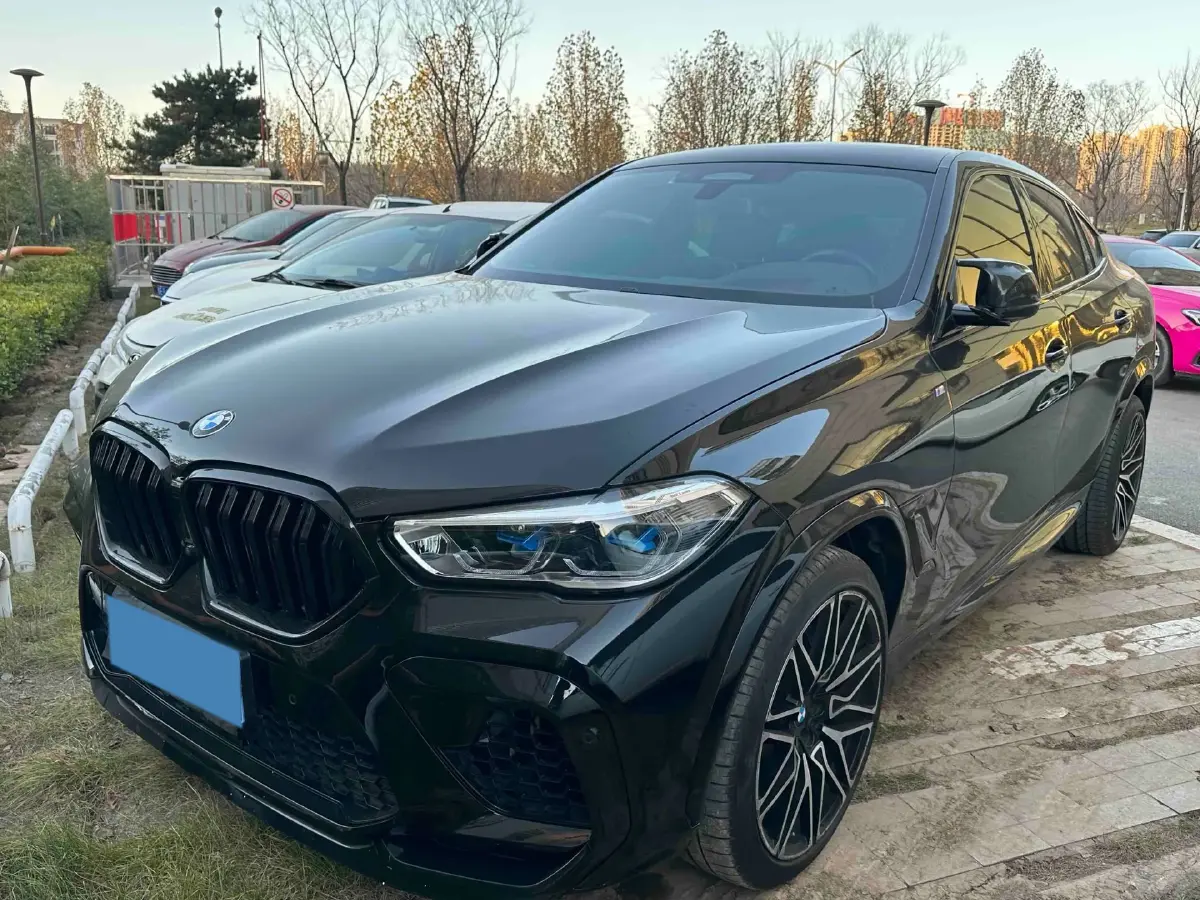 2021 BMW X6 3.0T 340HP L6 8AT