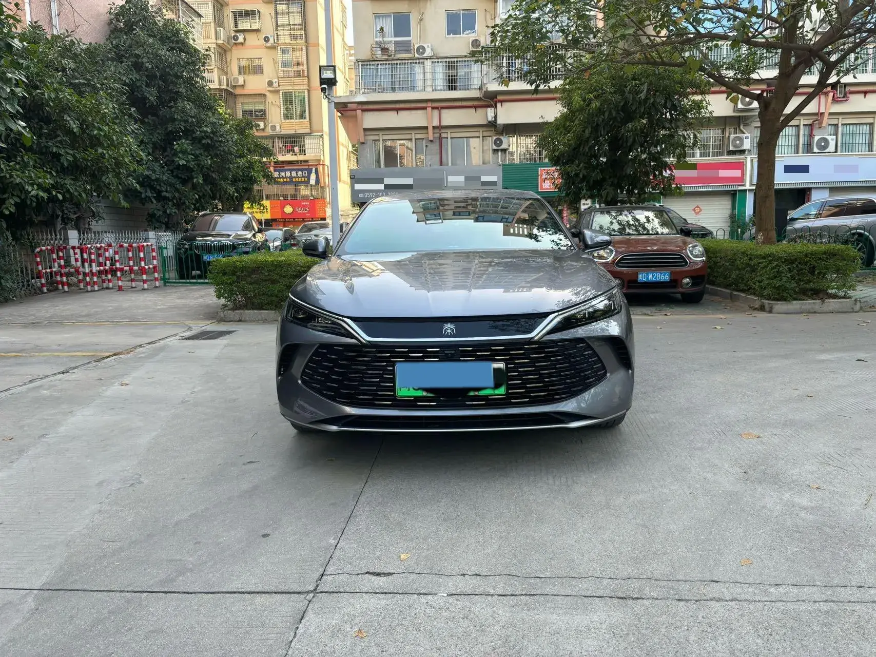 2024 BYD QINL thumbnail 2