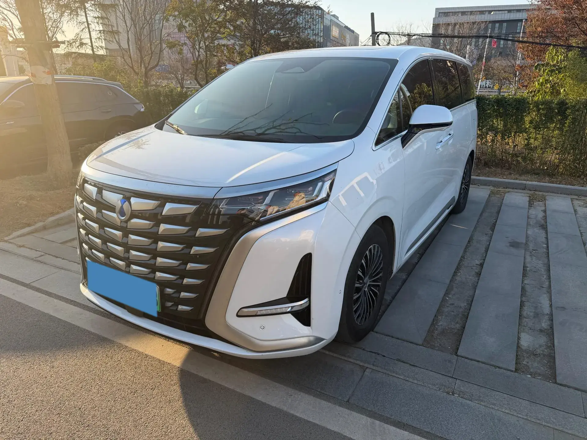 2022 DENZA D9 view 1