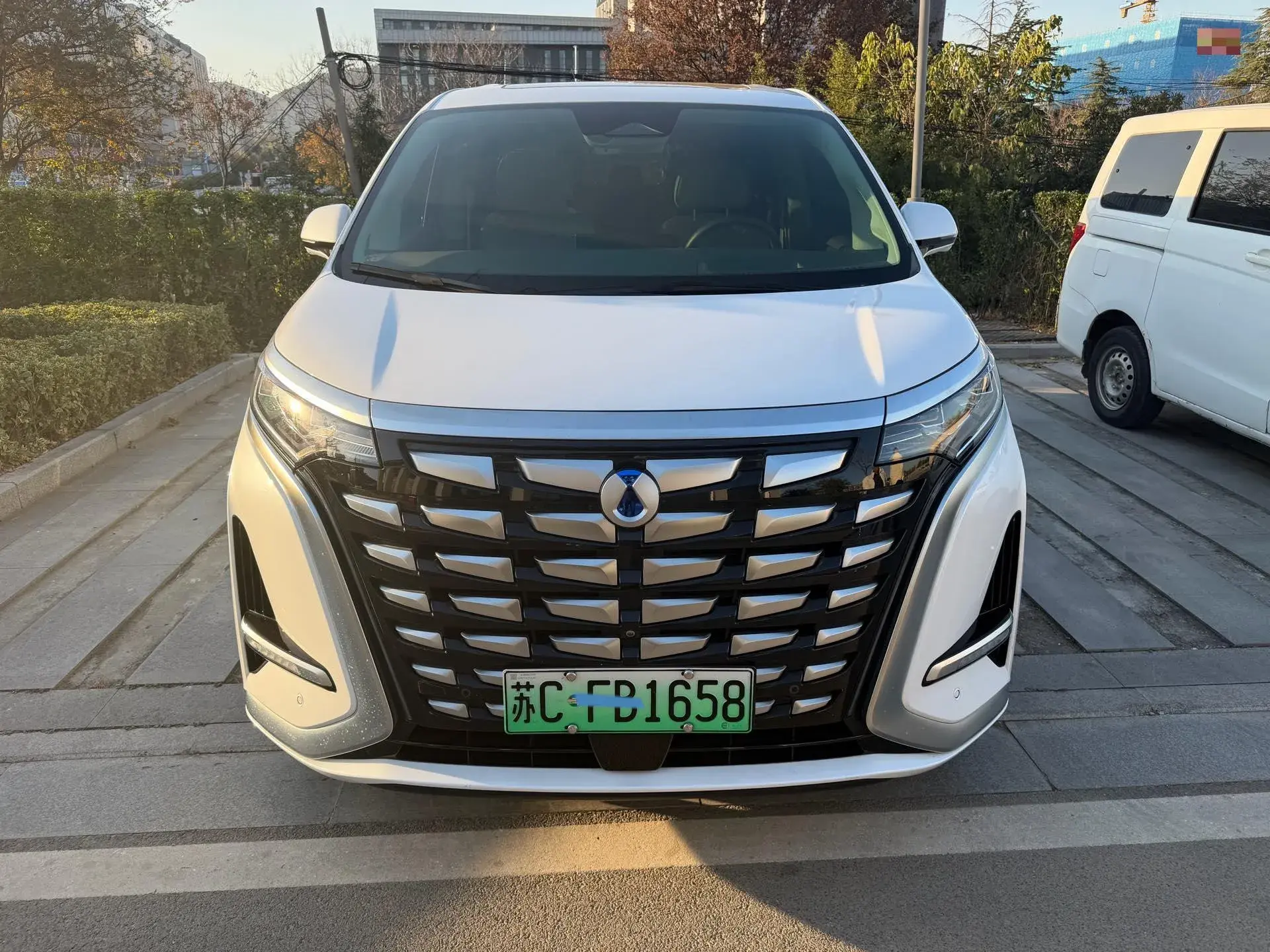 2022 DENZA D9 thumbnail 2