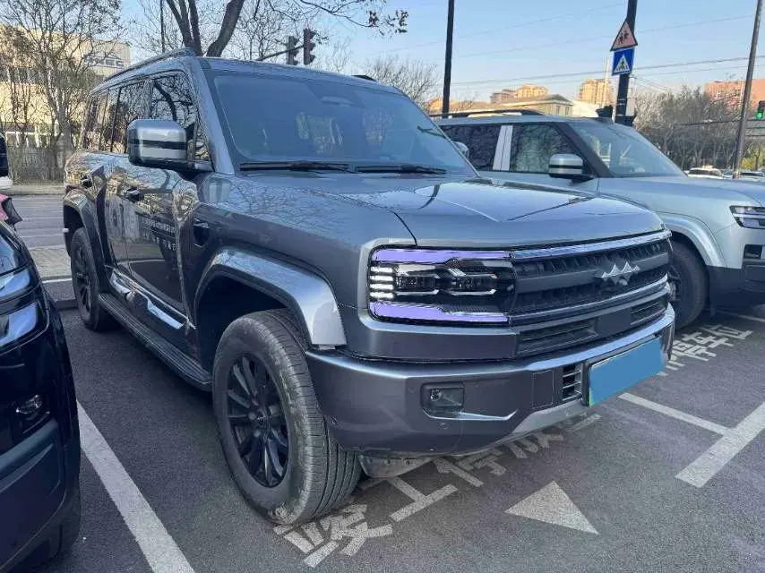 2025 FANGCHENGBAO BAO thumbnail 3