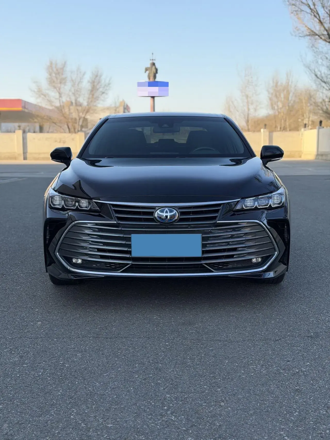 2019 TOYOTA AVALON thumbnail 2