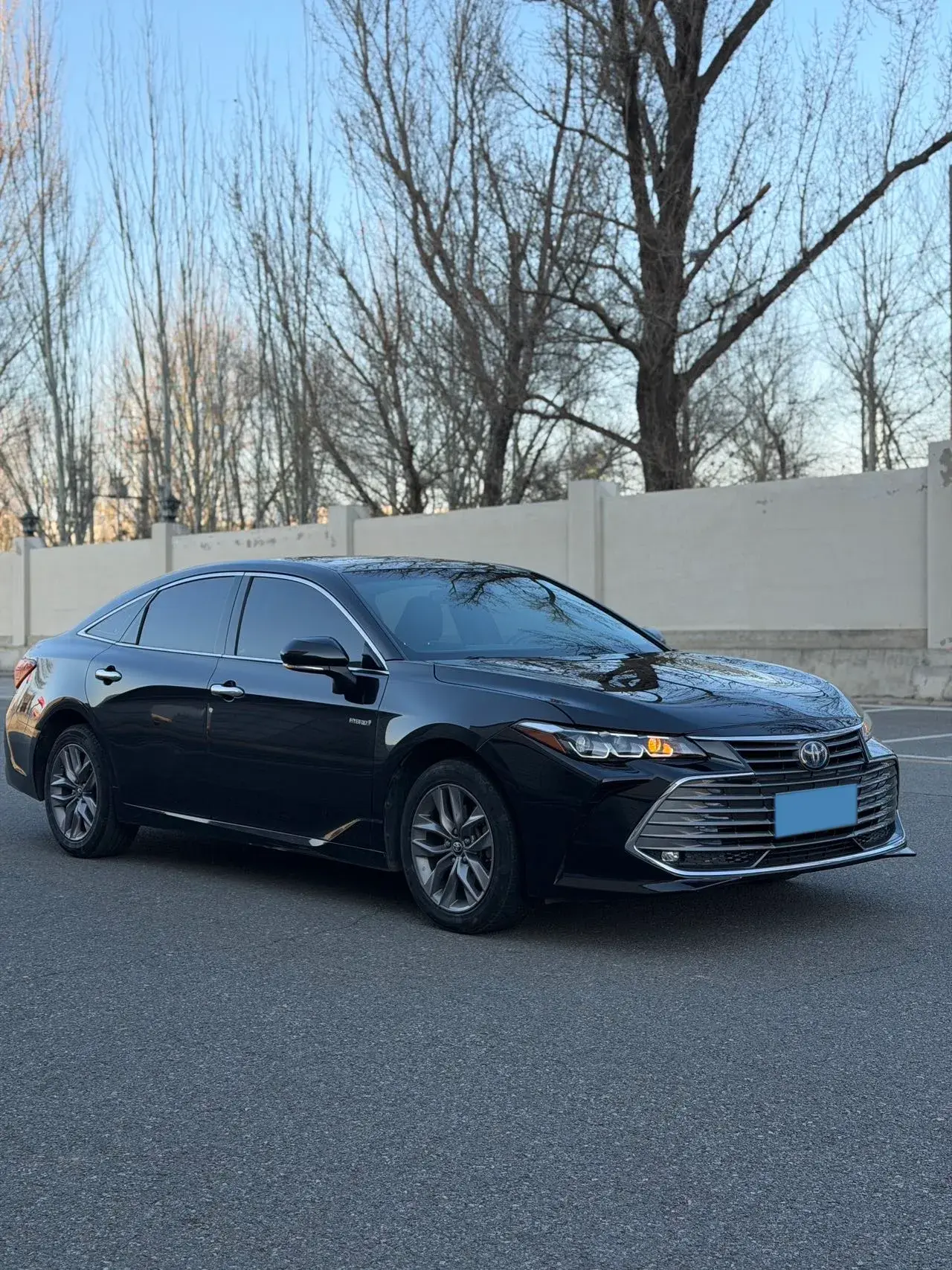 2019 TOYOTA AVALON thumbnail 3