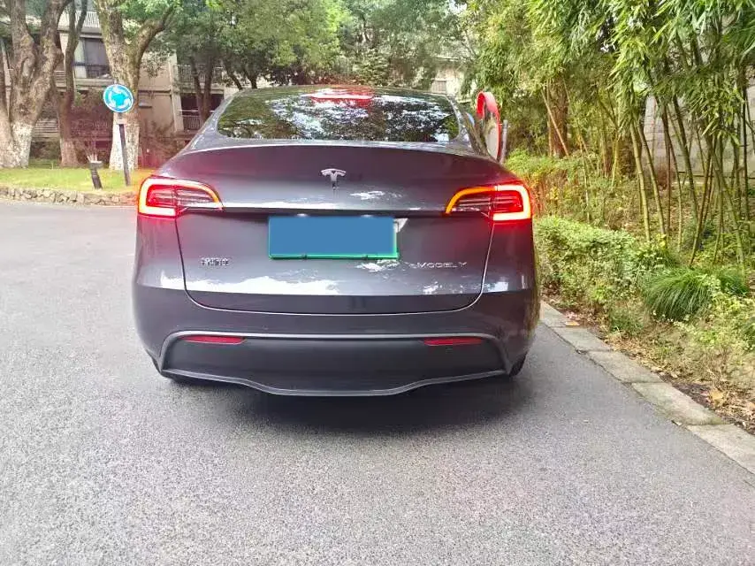 2024 TESLA MODEL thumbnail 3