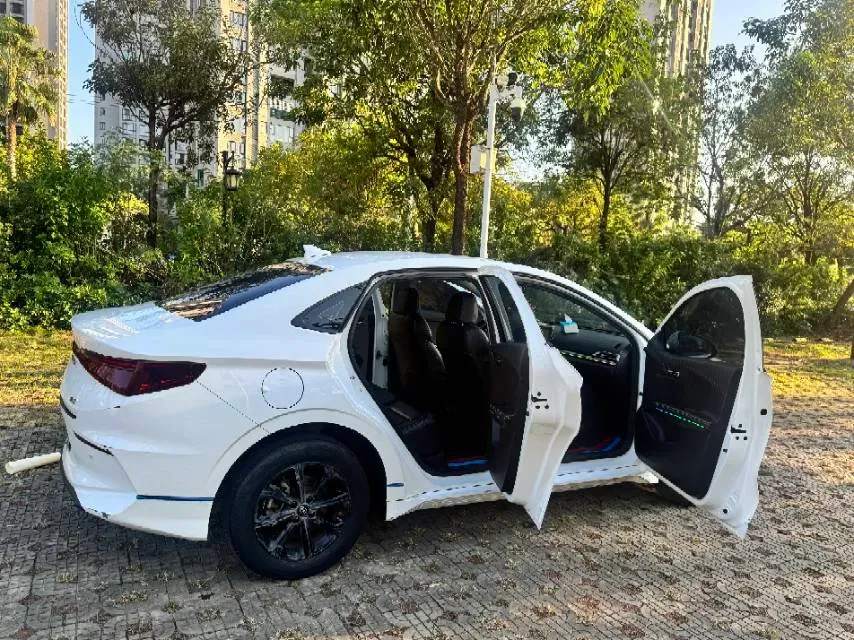 2020 BYD e3 BEV 47.3KWH,autocango,china used car exporter,china ev exporter,chinese used car exporter,chinese used ev exporter