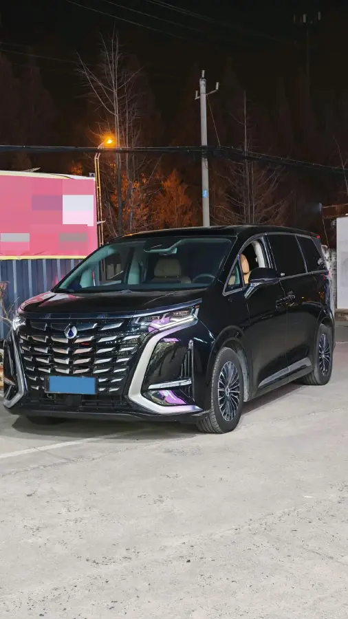 2022 Denza D9 1.5T 139HP L4 E-CVT PHEV 40.06KWH