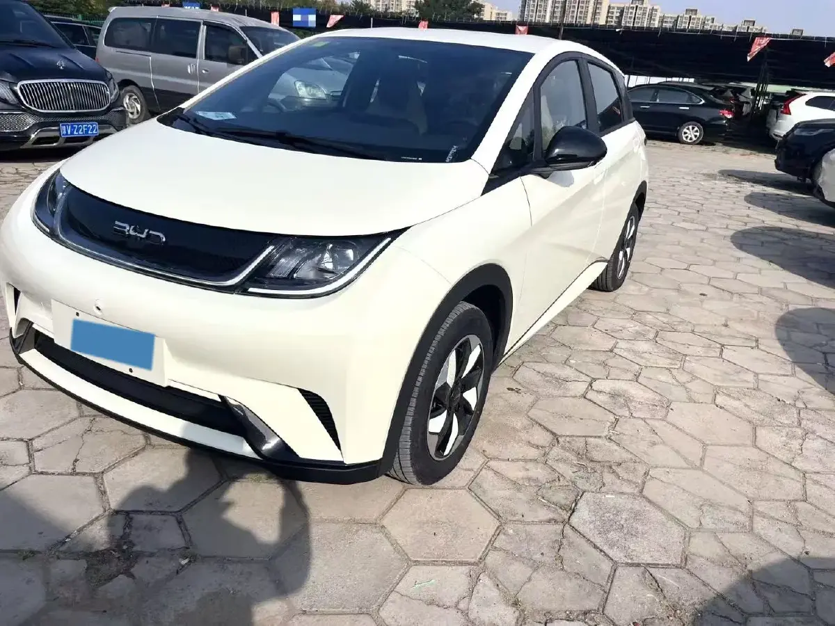 2025 BYD Dolphin BEV 44.928KWH