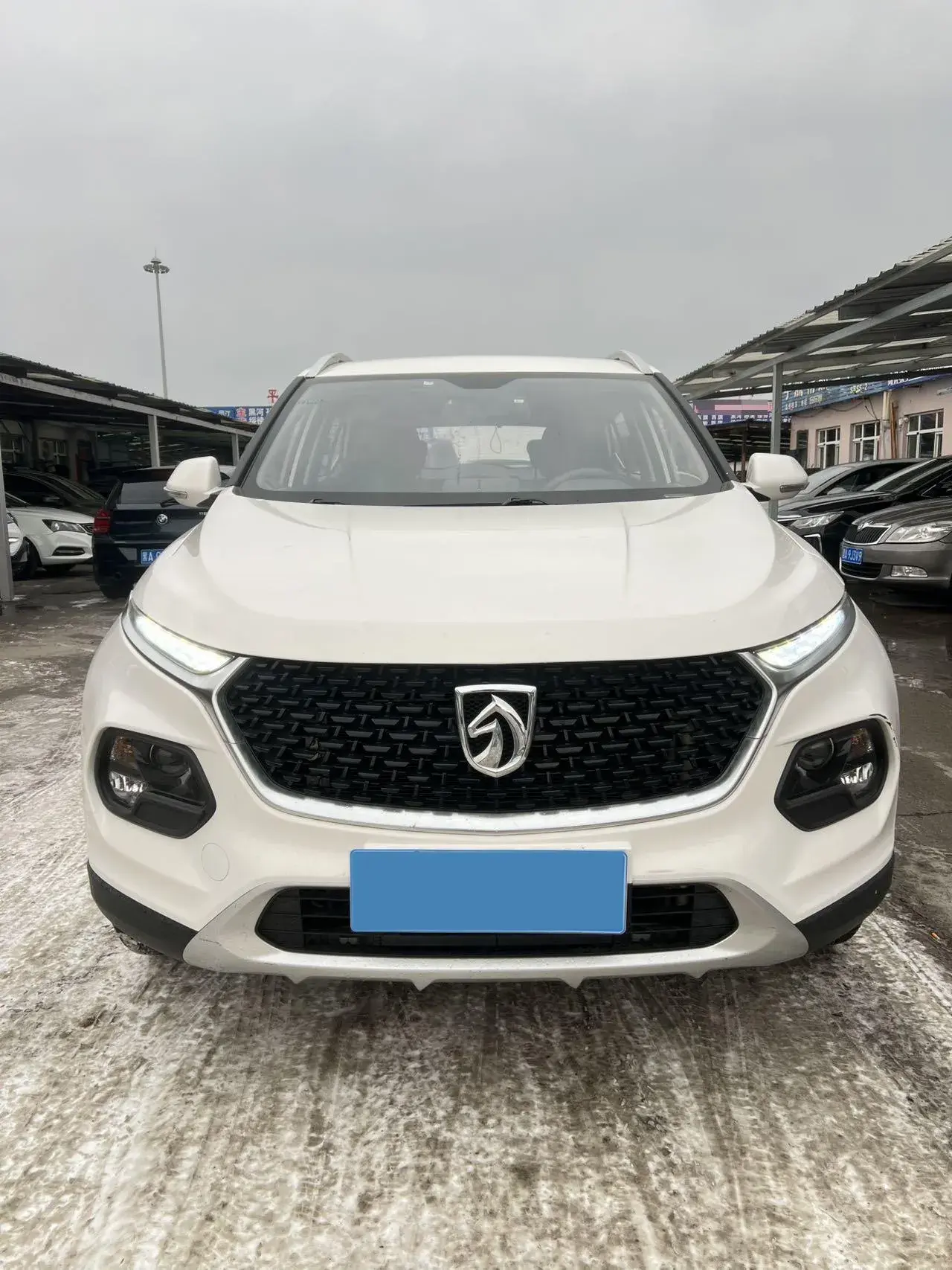 2019 BAOJUN 510 thumbnail 2