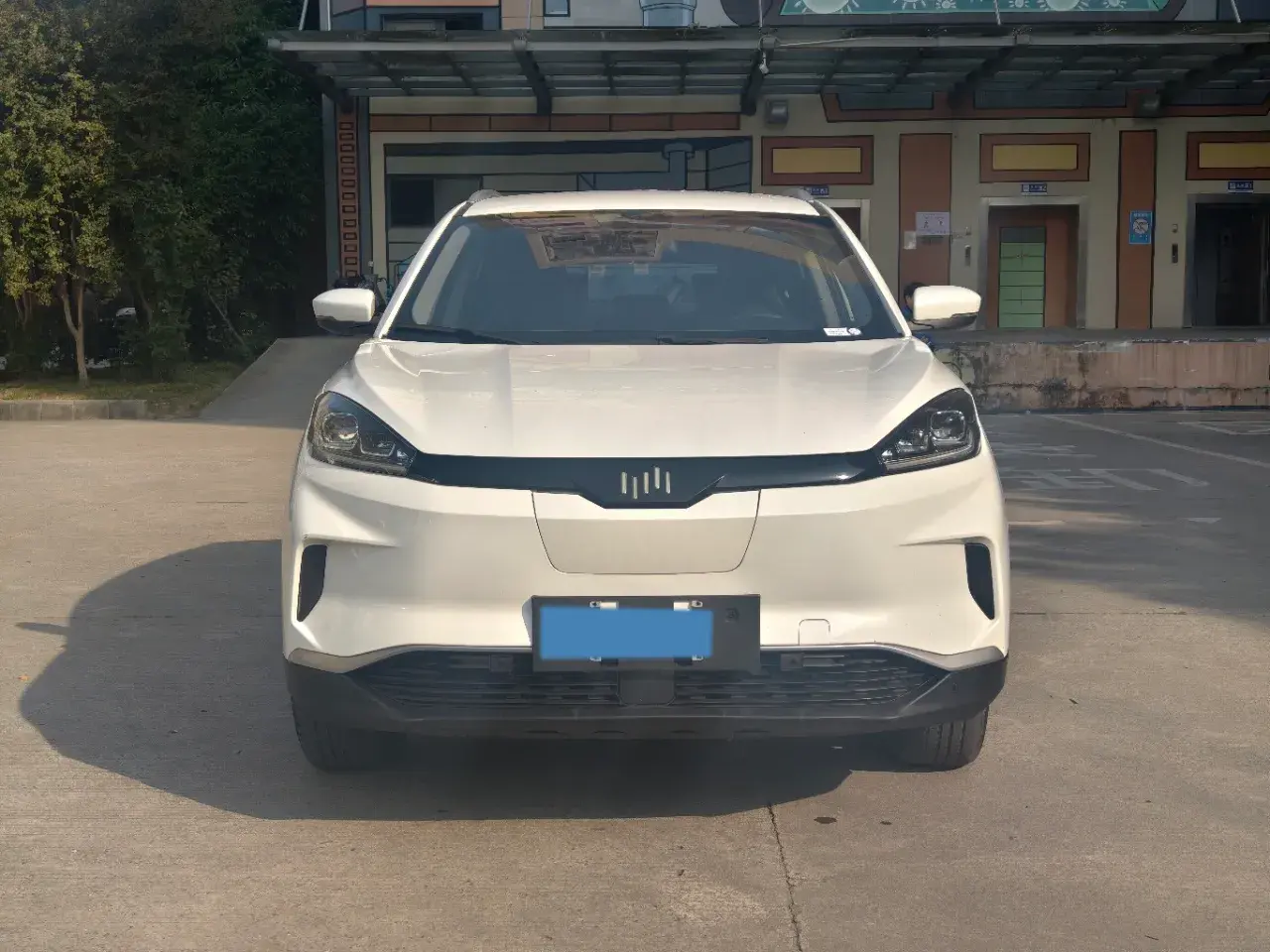 2019 WELTMEISTER EX5 thumbnail 2