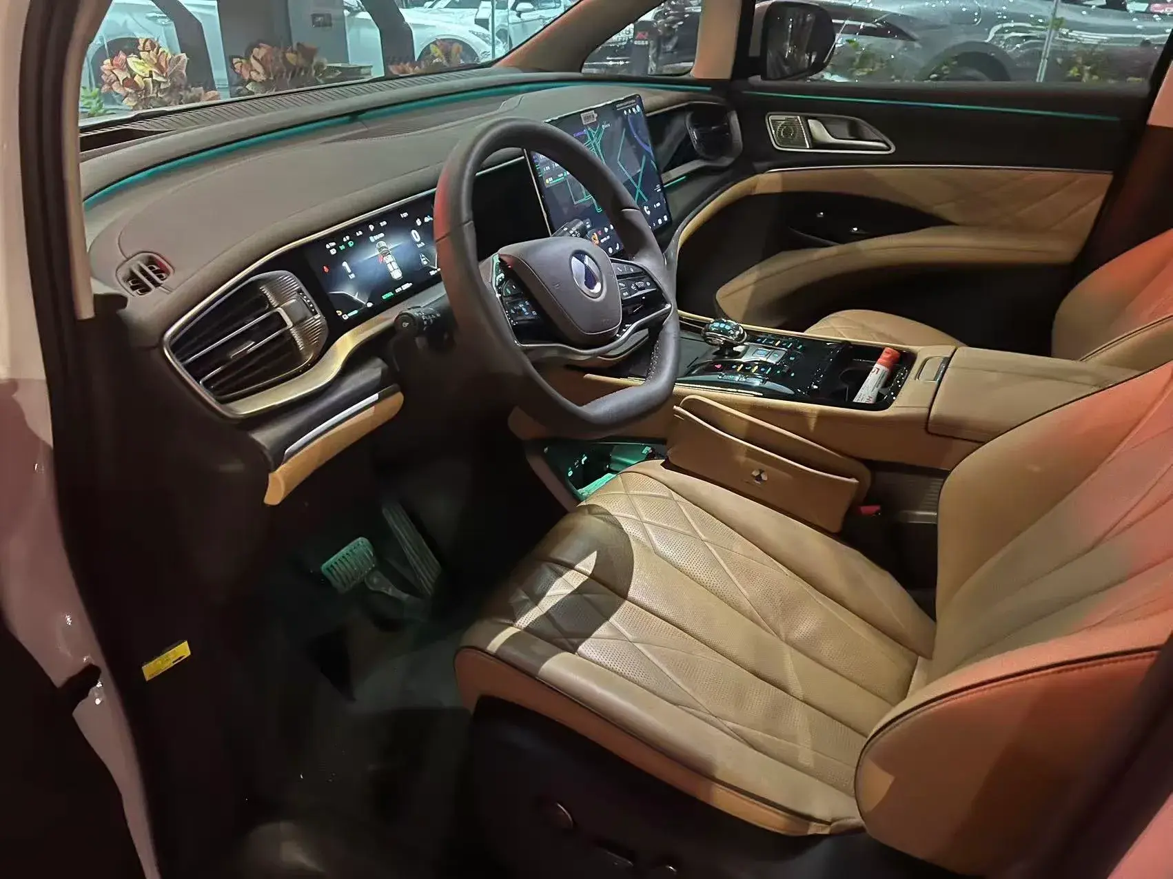 2024 DENZA D9 thumbnail 3