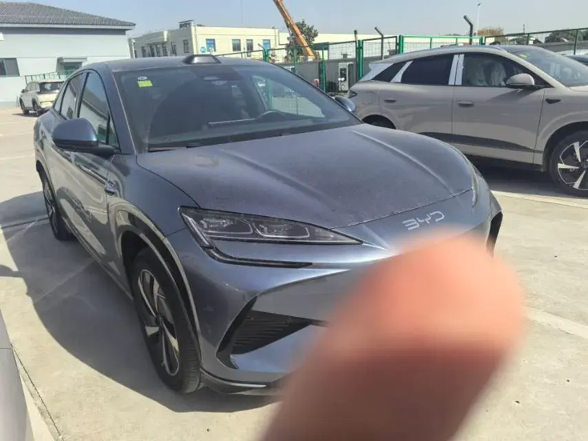 2025 BYD SEA thumbnail 3