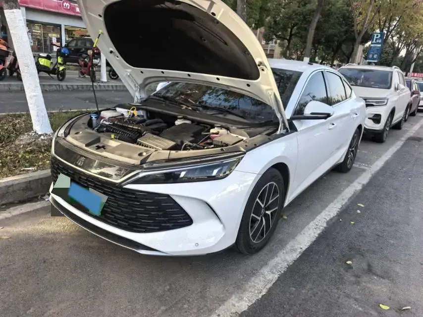 2024 BYD QINL thumbnail 2