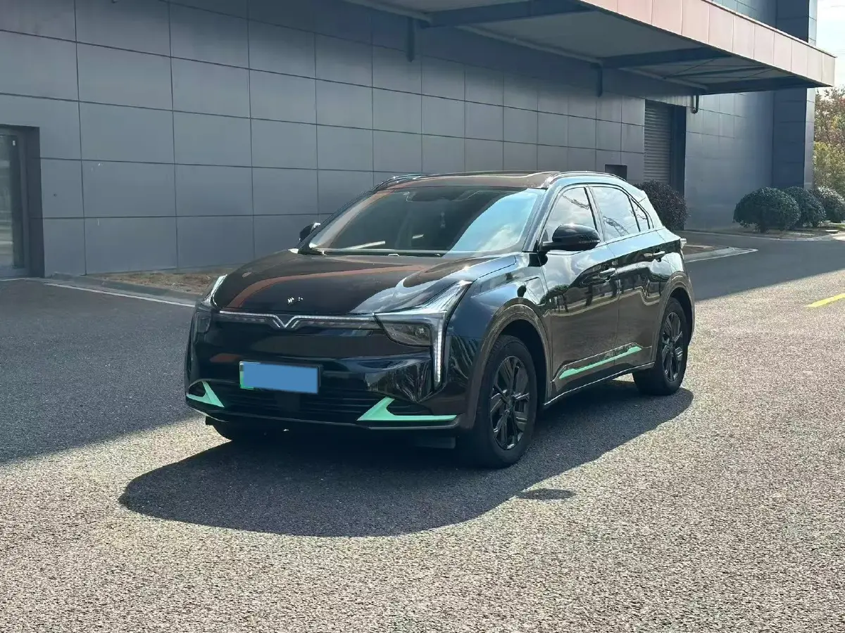 2022 Neta U BEV 55.8KWH