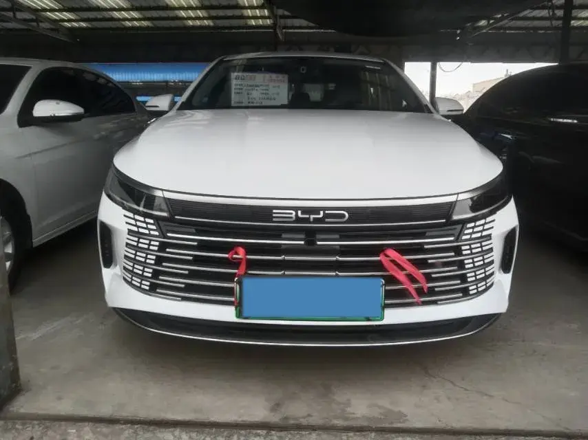 2024 BYD DESTROYER thumbnail 2