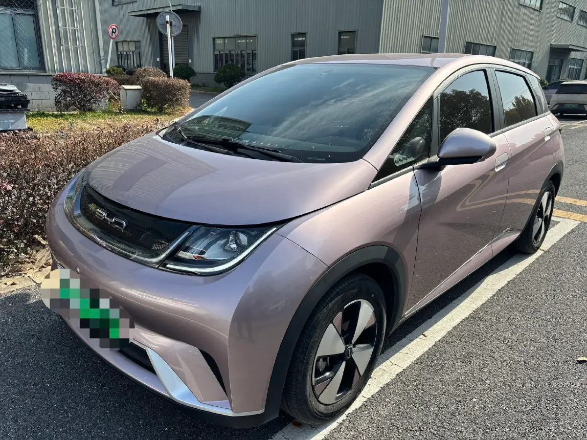 2023 BYD Dolphin BEV 44.928KWH