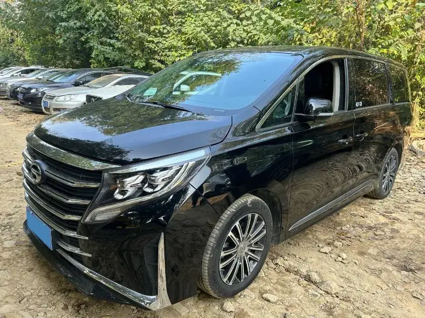 2021 GAC Trumpchi M8 2.0T 252HP L4 8AT