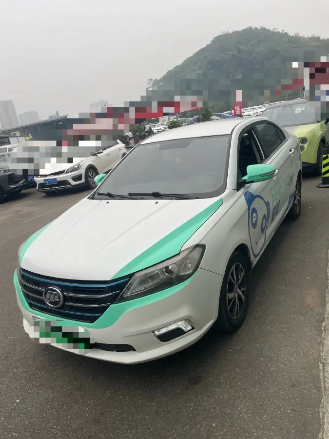 2018 LiFan 650EV BEV 43.1KWH