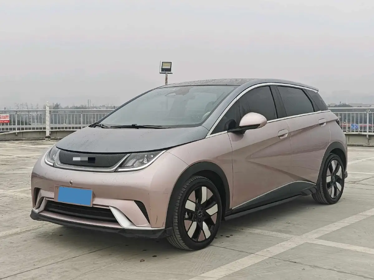 2021 BYD Dolphin BEV 44.9KWH