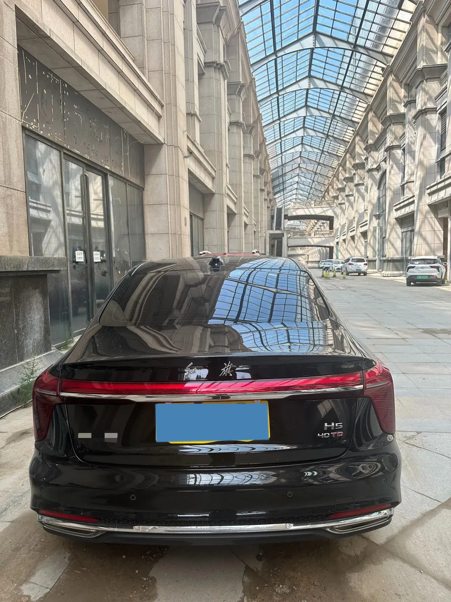 2023 HONGQI H5 thumbnail 3