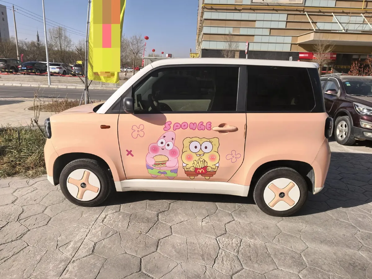 2024 ZD Rainbow BEV 17.3KWH,autocango,china used car exporter,china ev exporter,chinese used car exporter,chinese used ev exporter