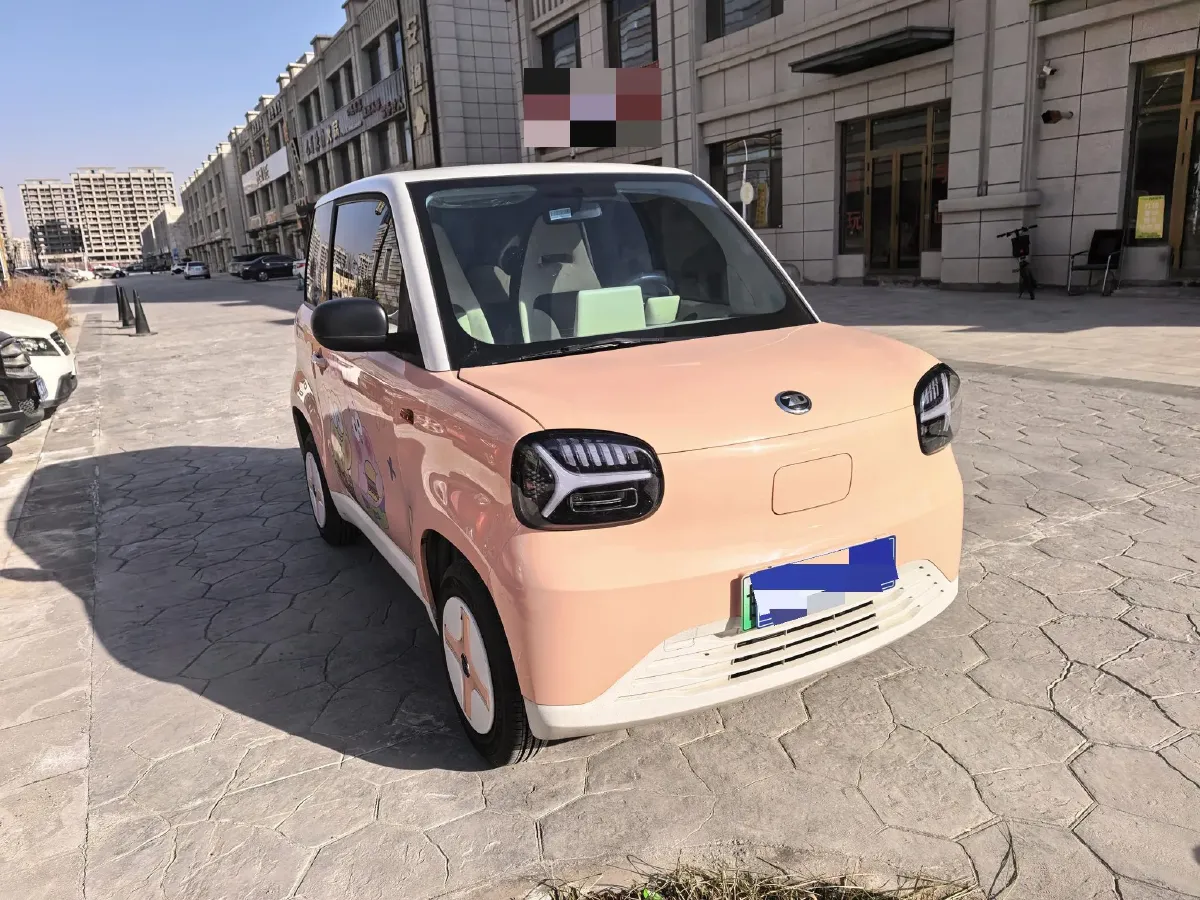 2024 ZD Rainbow BEV 17.3KWH,autocango,china used car exporter,china ev exporter,chinese used car exporter,chinese used ev exporter