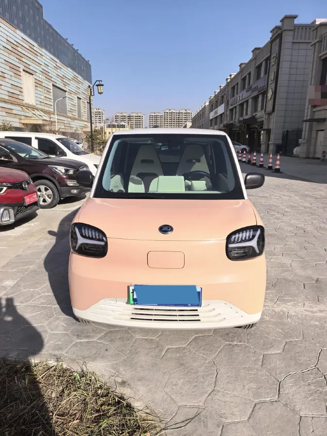 2024 ZD Rainbow BEV 17.3KWH,autocango,china used car exporter,china ev exporter,chinese used car exporter,chinese used ev exporter