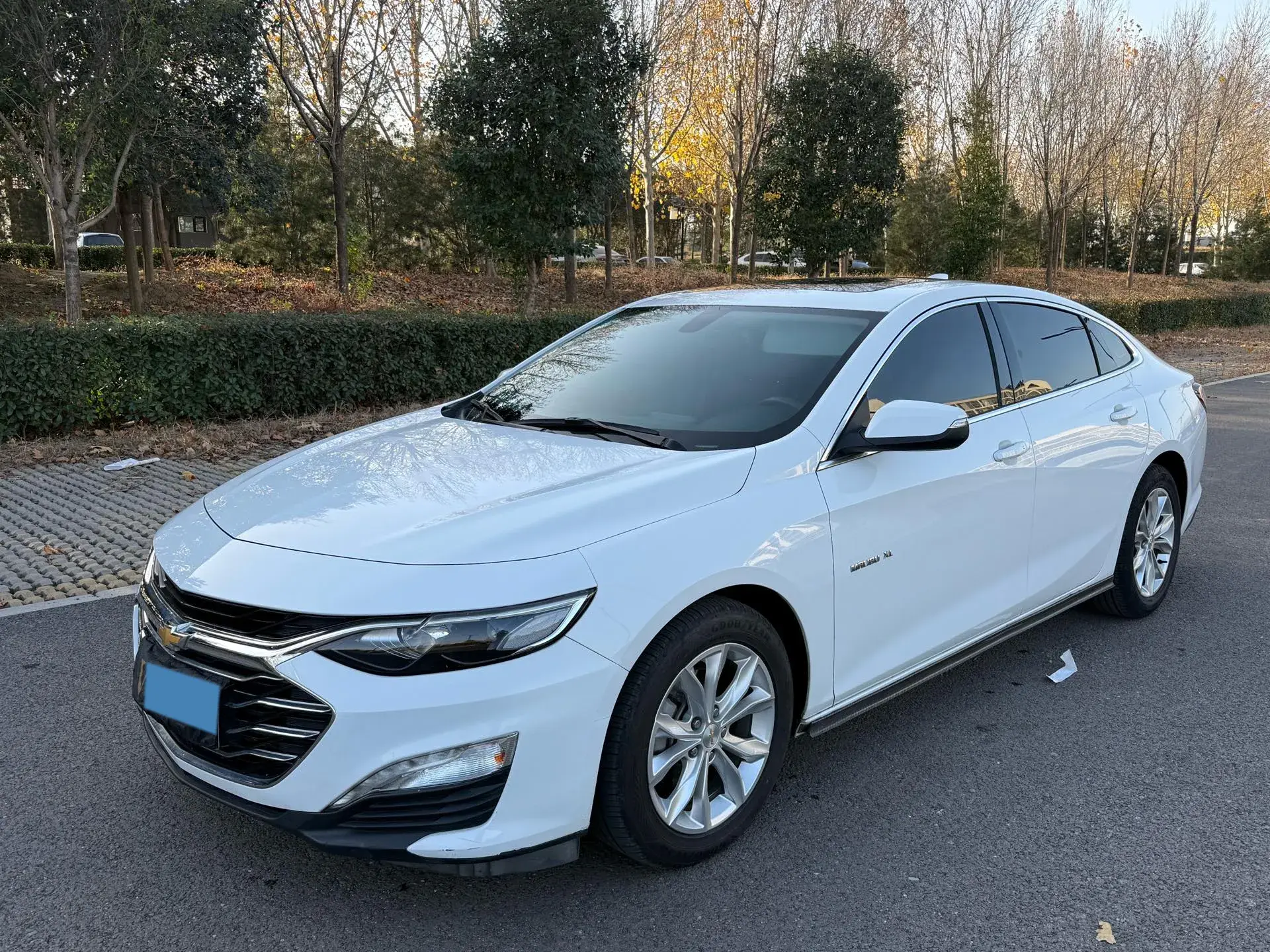 2019 CHEVROLET MALIBU view 1