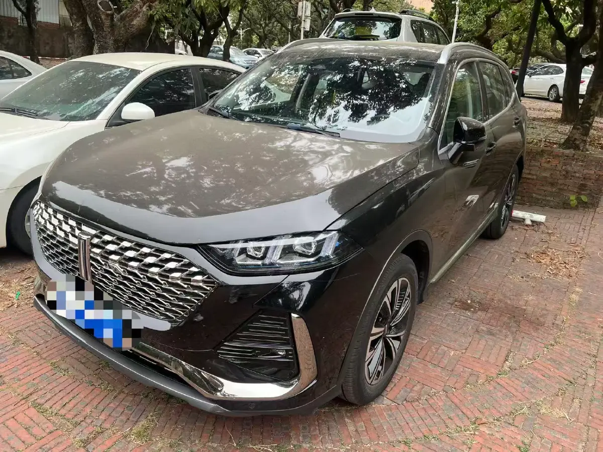 2022 WEY Latte DHT 1.5T 156HP L4 2DHT Hybrid