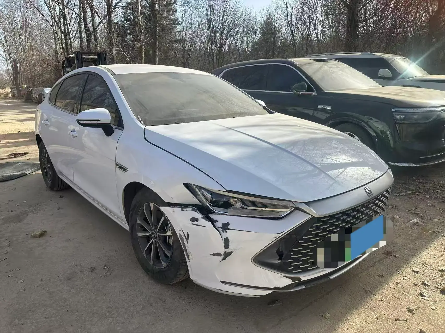 2021 BYD QIN thumbnail 2