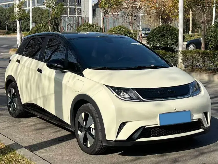 2023 BYD DOLPHIN thumbnail 3