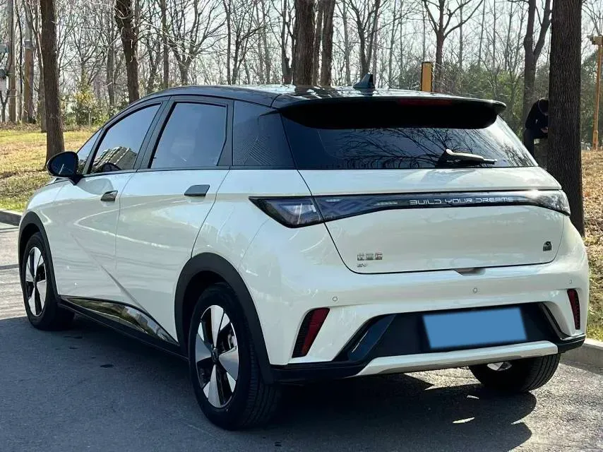 2023 BYD Dolphin BEV 44.928KWH,autocango,china used car exporter,china ev exporter,chinese used car exporter,chinese used ev exporter