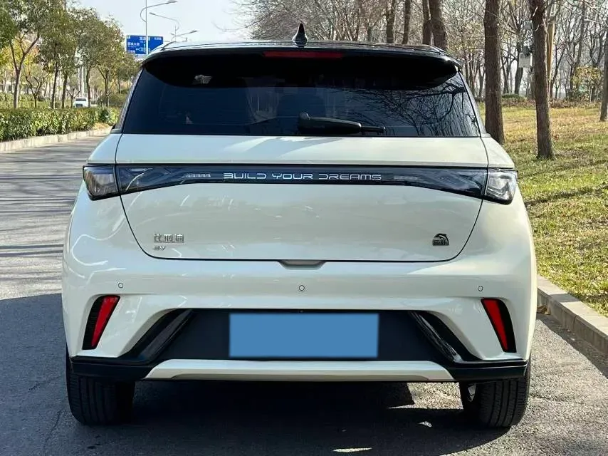 2023 BYD Dolphin BEV 44.928KWH,autocango,china used car exporter,china ev exporter,chinese used car exporter,chinese used ev exporter