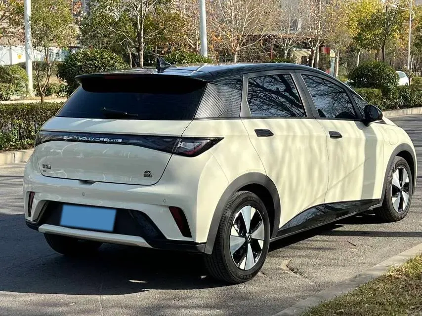 2023 BYD Dolphin BEV 44.928KWH,autocango,china used car exporter,china ev exporter,chinese used car exporter,chinese used ev exporter