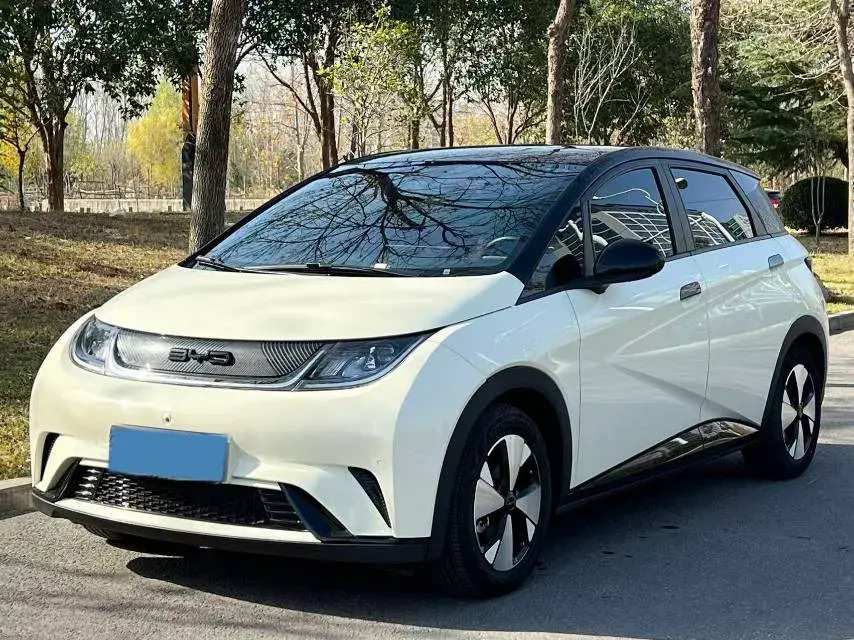 2023 BYD DOLPHIN view 1