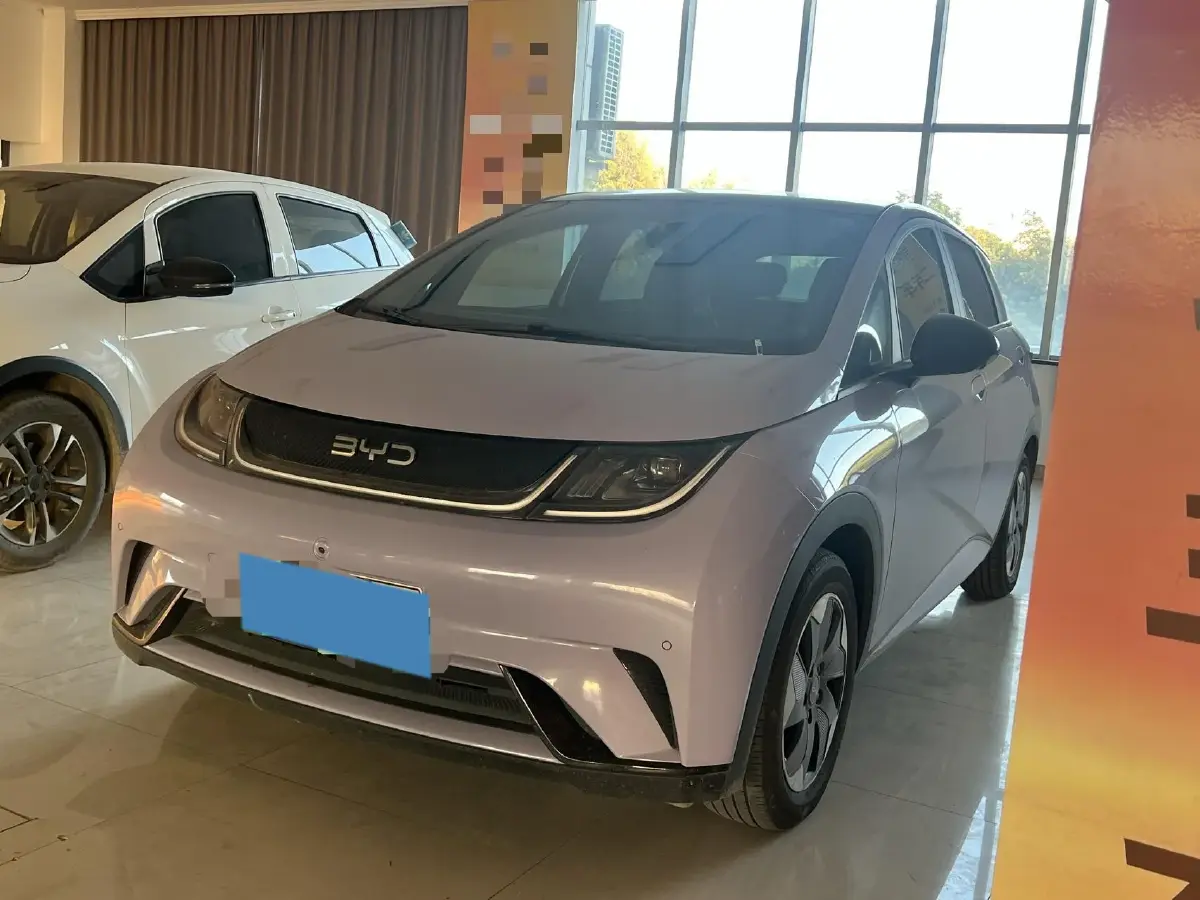 2024 BYD Dolphin BEV 44.928KWH