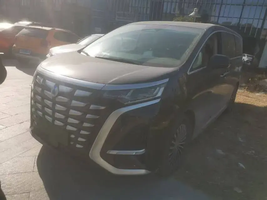 2022 Denza D9 1.5T 139HP L4 E-CVT PHEV 40.06KWH