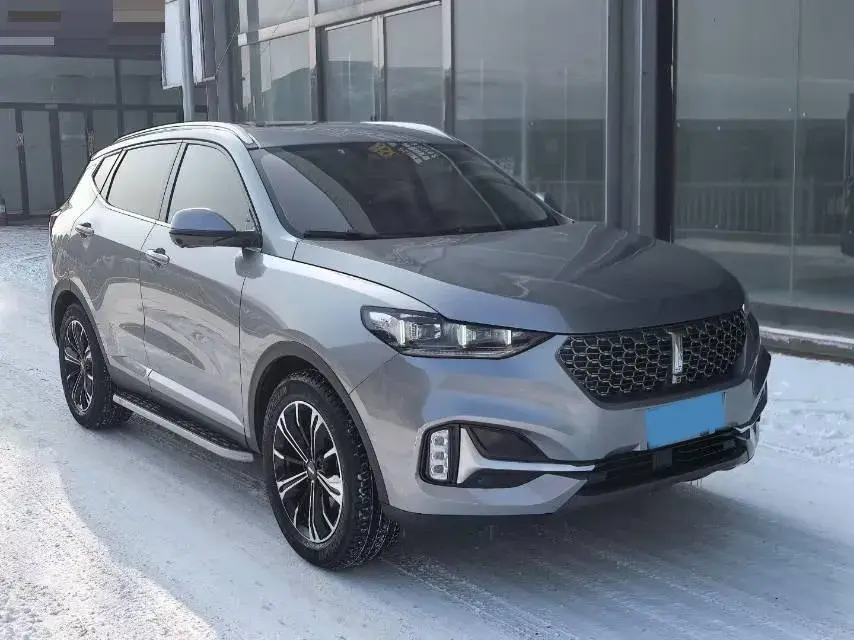 2021 WEY VV6 thumbnail 3