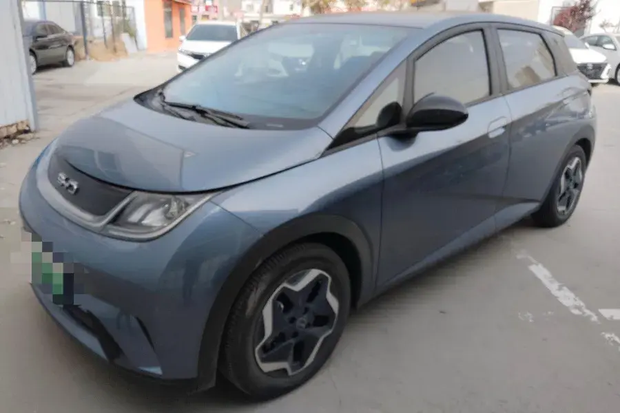 2025 BYD DOLPHIN view 1