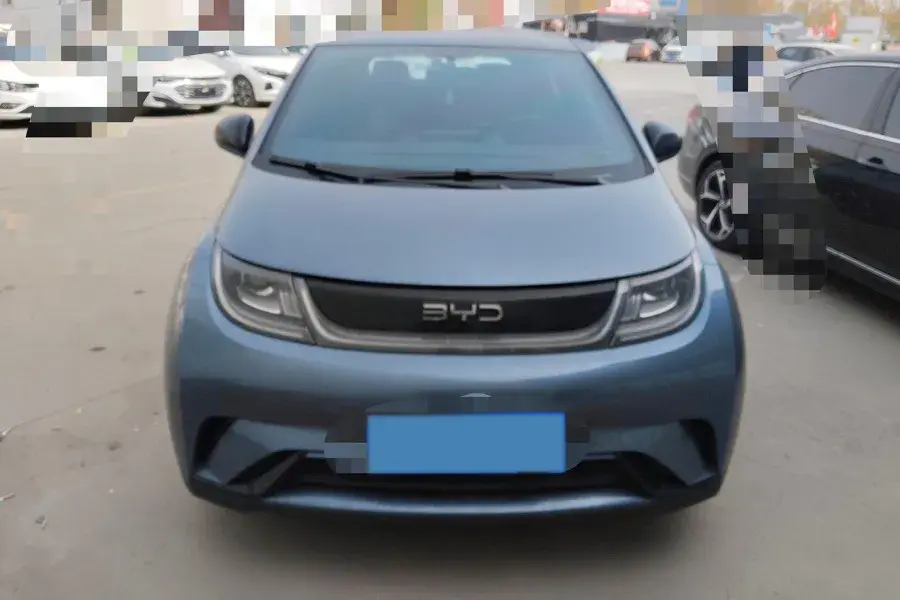 2025 BYD DOLPHIN thumbnail 3