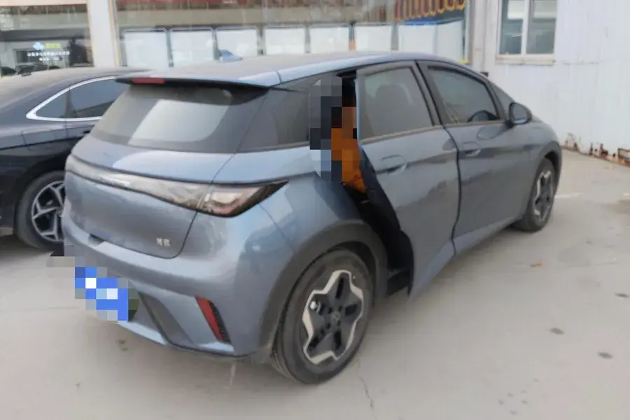 2025 BYD DOLPHIN thumbnail 2