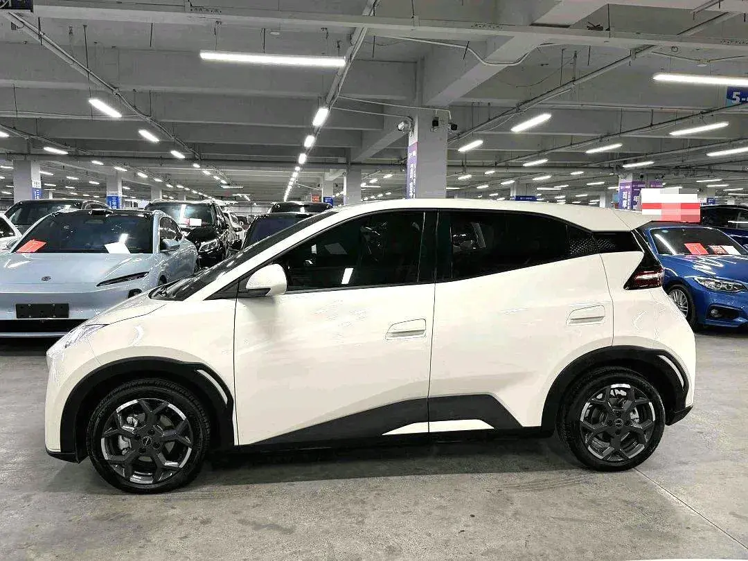 2025 BYD SEAGULL thumbnail 2