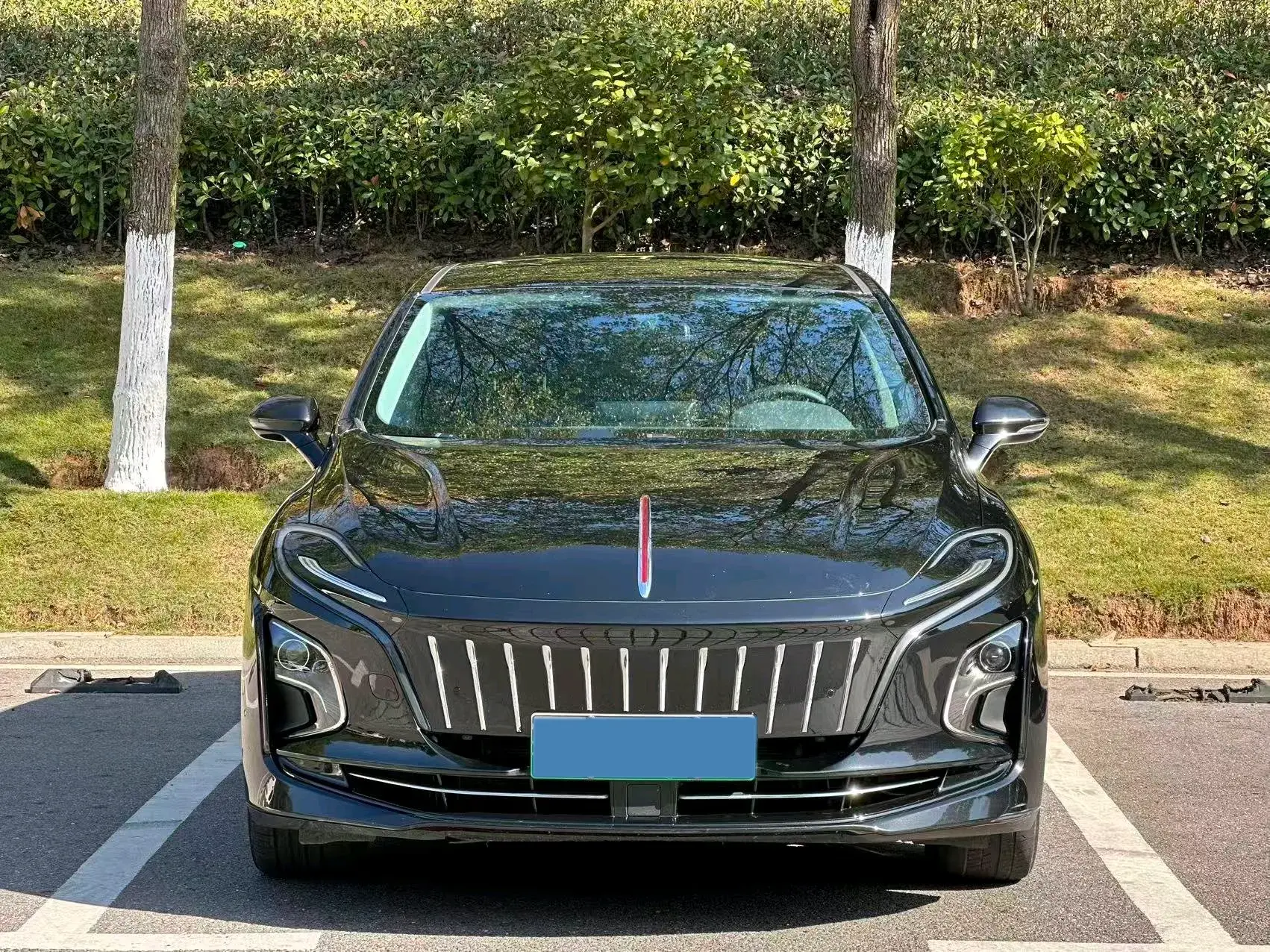 2024 HONGQI E-QM5 thumbnail 4